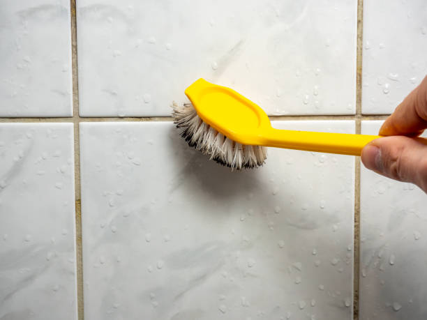 Best Commercial Mold Remediation in Commercial Point, OH