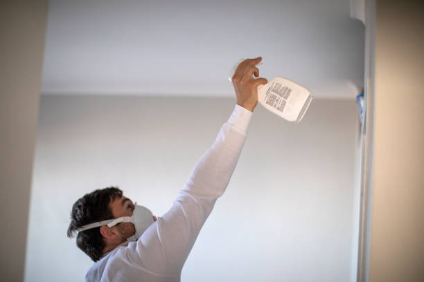 Best Mold Testing and Inspection Services in Commercial Point, OH