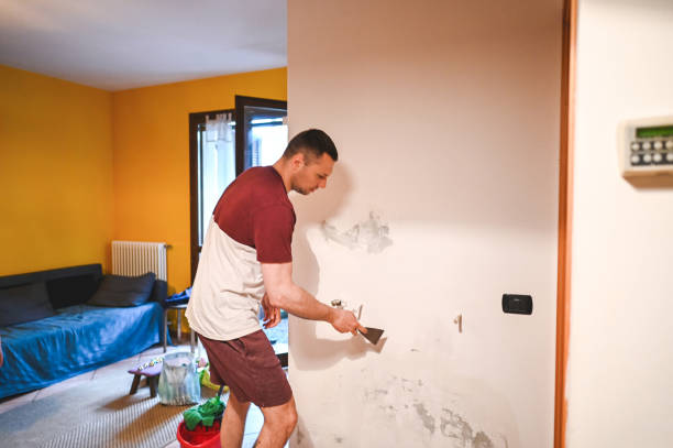 Best Mold Remediation for Specific Building Types in Commercial Point, OH